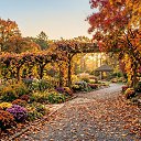���� ��������, ������ - ��������� 31 ������� 2026 � ������ ���� ����������