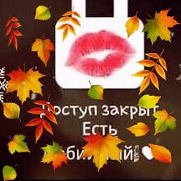 ���� �����, ���������, 32 ���� - ��������� 17 ������� 2025