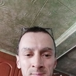 , 35, 