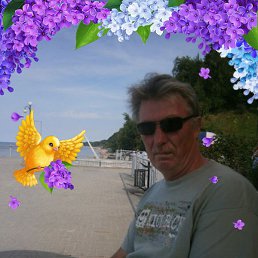 �������, �����������, 66 ���