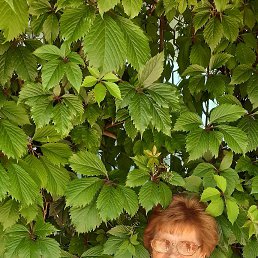 ���� ������, �������, 70 ��� - ��������� 29 ������ 2026