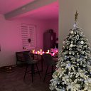 ���� �����, ������ - ��������� 4 ������ 2024 � ������ ���� ����������