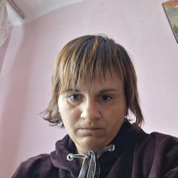 , 31 , 