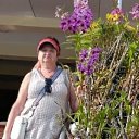 ���� ������������, �������, 61 ��� - ��������� 24 ������ 2026 � ������ ���� ����������