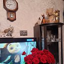 ���� ������, ���������, 62 ���� - ��������� 8 ������ 2026 � ������ ���� ����������