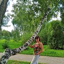 ���� �������, ����, 63 ���� - ��������� 29 ������� 2025 � ������ ���� ����������