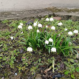 ���� �����, �����������, 48 ��� - ��������� 31 ����� 2026