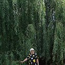 ���� ��������, ��������� - ��������� 10 ������� 2026 � ������ ���� ����������