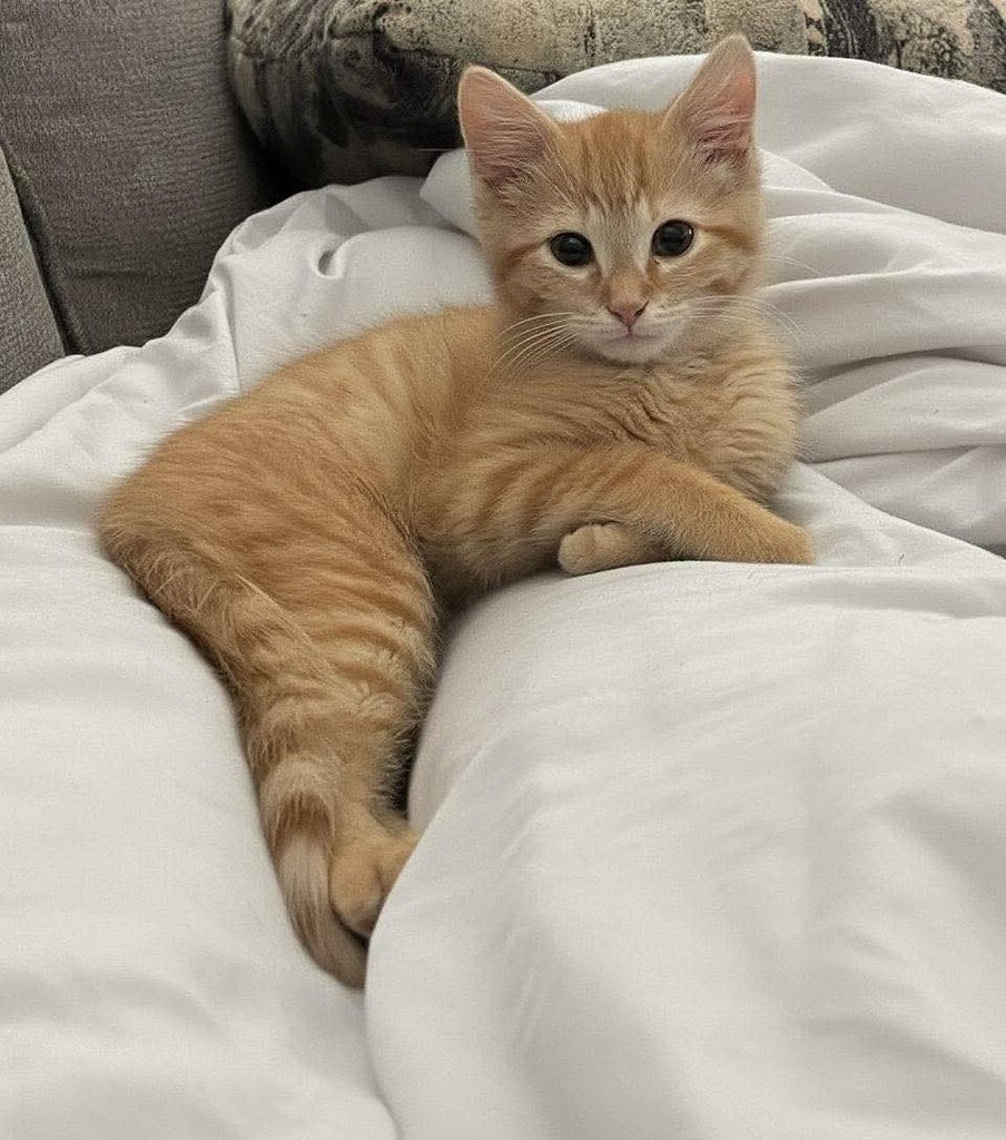 :) ������ ���, ����� ���. � ��� ����������?