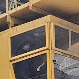 �����, ������, 41 ���