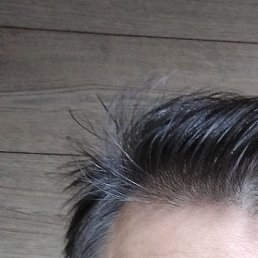 ����, ������, 54 ����