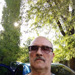 ���� ��������, ������-��-����, 66 ��� - ��������� 31 ������� 2023