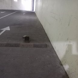 �����, ������, 31 ���