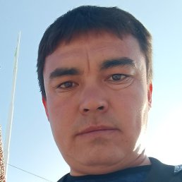 Muxa, ������, 34 ����