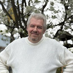 ������, �����, 49 ���