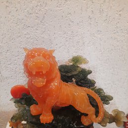 ���� ���������, ������, 47 ��� - ��������� 20 ������� 2023