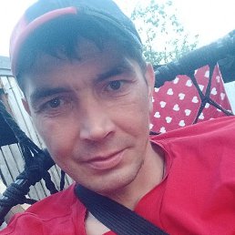 �����, 42 ����, ����