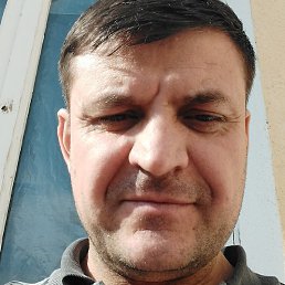 �����, �����-���������, 46 ���