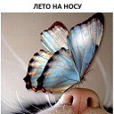 ���� ������, ������, 52 ���� - ��������� 31 ��� 2024 � ������ ������ ��������