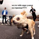 ���� **������**, ����� - ��������� 27 ������ 2026 � ������ ���� ����������