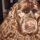 ���� ��������, ��� - ��������� 29 ������ 2024 � ������ ���� ����������