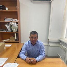 �����, 41 ���, ���