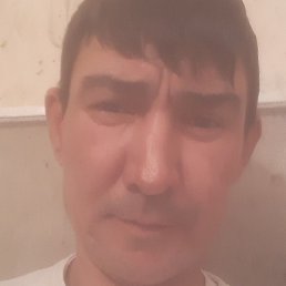 ����, ����, 40 ���