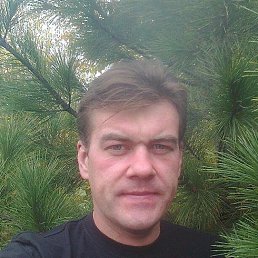 ����, 55 ���, ���������