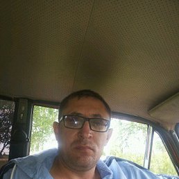 , 52, 