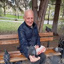 ���� Niko, ���������, 73 ���� - ��������� 16 ���� 2025 � ������ ���� ����������