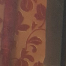 �������, ����, 51 ���