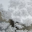 ���� ������, ������, 51 ��� - ��������� 6 ���� 2026