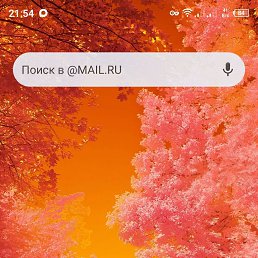 ���� ����, ����, 43 ���� - ��������� 12 ��� 2026