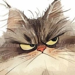 Natalia, ��������