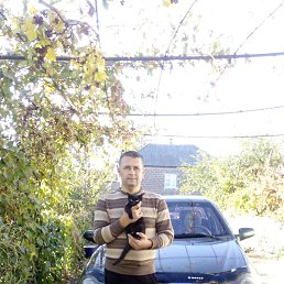 �������, ���������, 48 ���