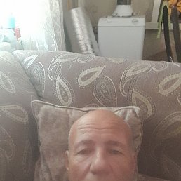 , 54, 