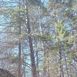 �������, ������������, 58 ���