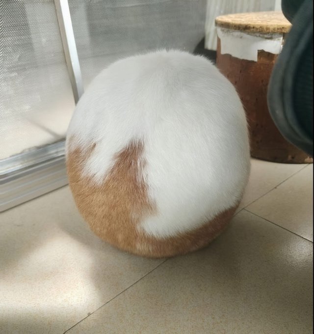�� ���� ����������, �� � ���� ���� ���� �������� ����