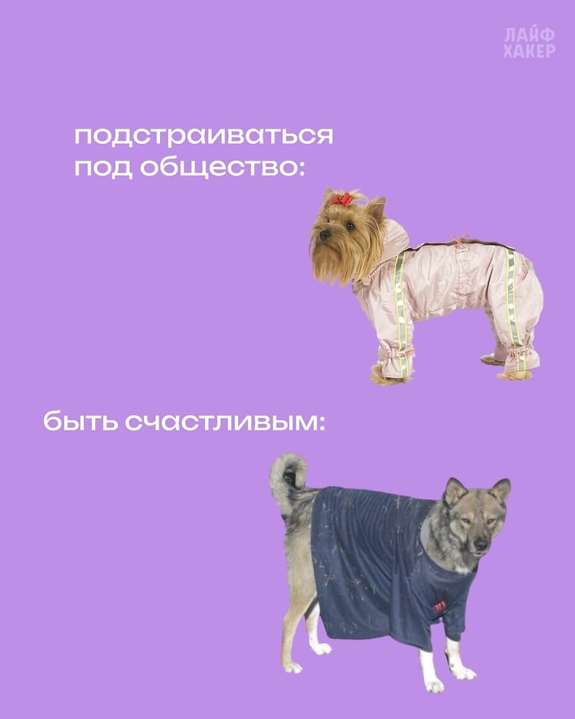 ����� ����� ��������. - 6