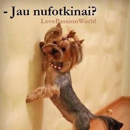 Brigita, �������, 62 ����