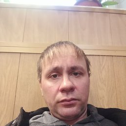 ��������, 38 ���, ���������