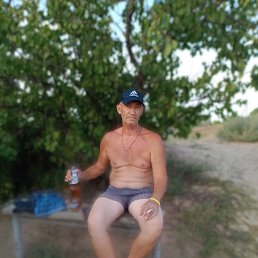 , 53 , 