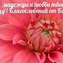 ���� �������, ���� - ��������� 27 ����� 2026 � ������ ������ ��������
