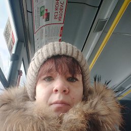 ���������, ������, 40 ���