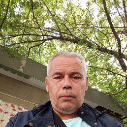 , 46 , 