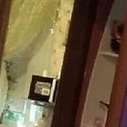 ������, 37 ���, ������