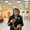 ���� �����, ���������� - ��������� 21 ������� 2024 � ������ ���� ����������