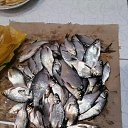 ���� ������, �����, 52 ���� - ��������� 28 ������� 2024 � ������ ���� ����������