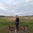 ���� �������, ����������� - ��������� 5 �������� 2026 � ������ ���� ����������