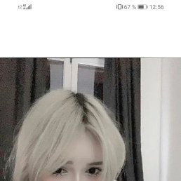 ���� ����, ������������, 18 ��� - ��������� 24 ������� 2026